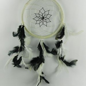 Dream Catcher Black And White