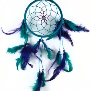 Dream Catcher Purple And Turquoise