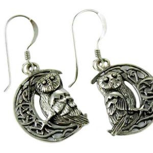 Silver Earring Owl On Moon