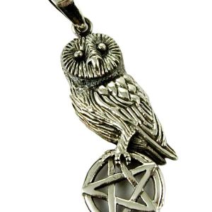 Silver Pendant Owl On Pentagram