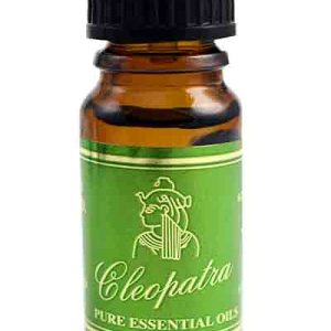 Oil Essential Eucalyptus 10ml Bottle