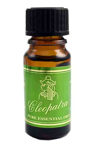 Oil Essential Eucalyptus 10ml Bottle